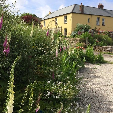 Little Torrington Frizenham Farmhouse المظهر الخارجي الصورة