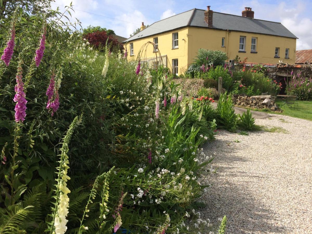 Little Torrington Frizenham Farmhouse المظهر الخارجي الصورة