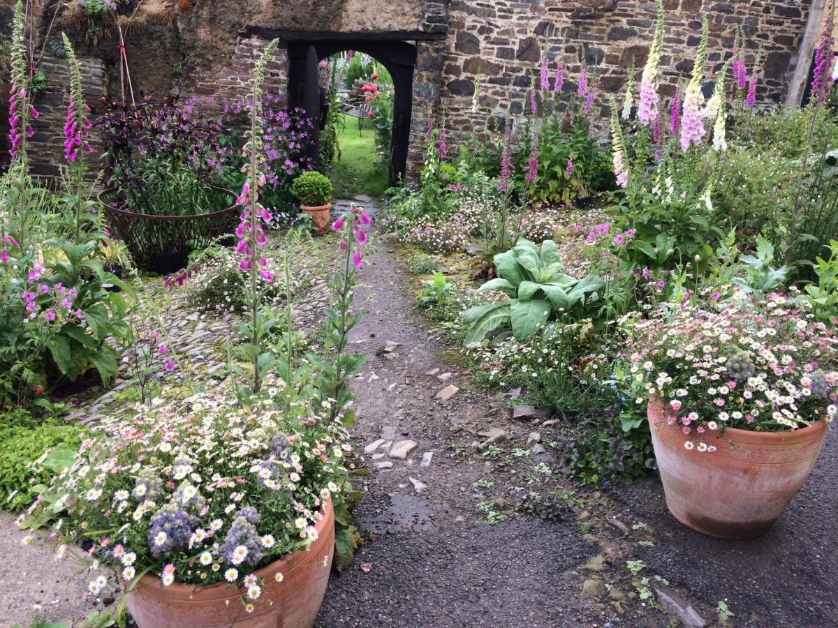 Little Torrington Frizenham Farmhouse المظهر الخارجي الصورة